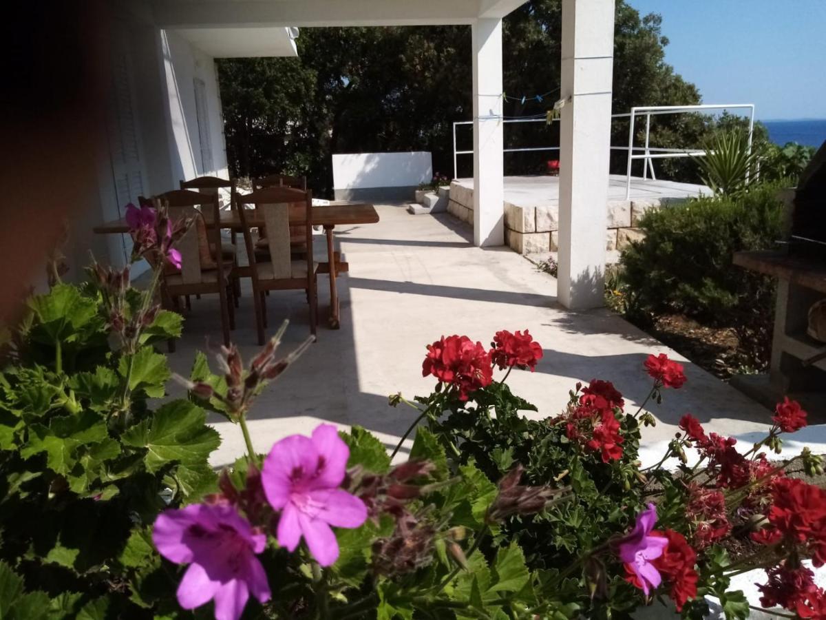 Apartman Laus Zavalatica Exterior photo